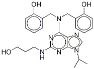 Structure of 1076200-04-8