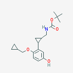 Structure of 1322700-04-8